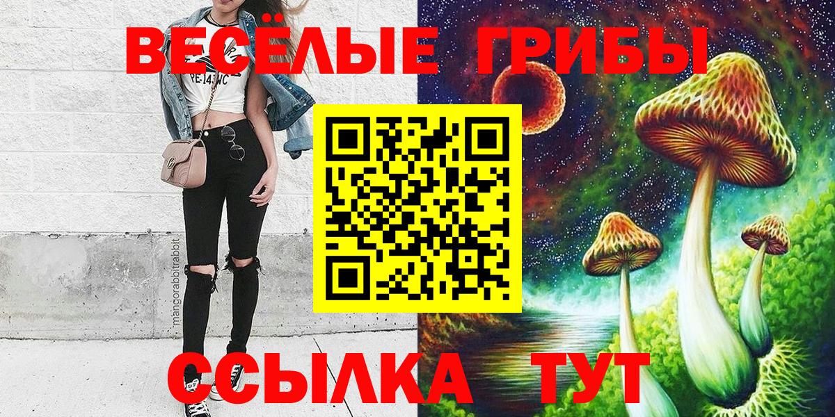Псилоцибиновые грибы прущие грибы  Вход с VPN  Мурманск  Псилоцибиновые грибы Cubensis 
